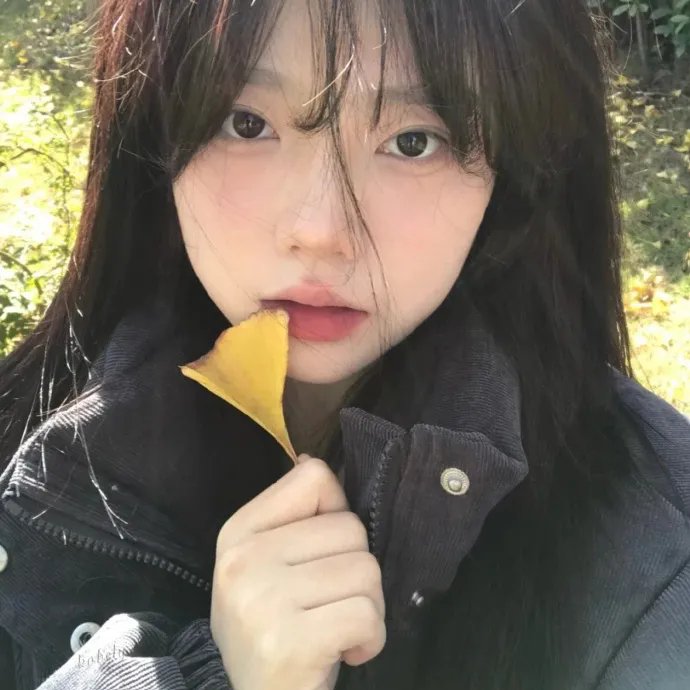 最短的距离是圆的3：落花流水